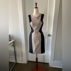 BCBG Maxazria Evelyn size 4 sheath dress. Sleeveless, full length zipper